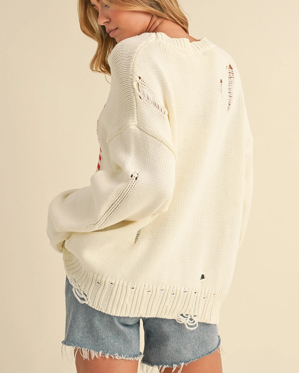USA Sweater