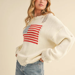 USA Sweater